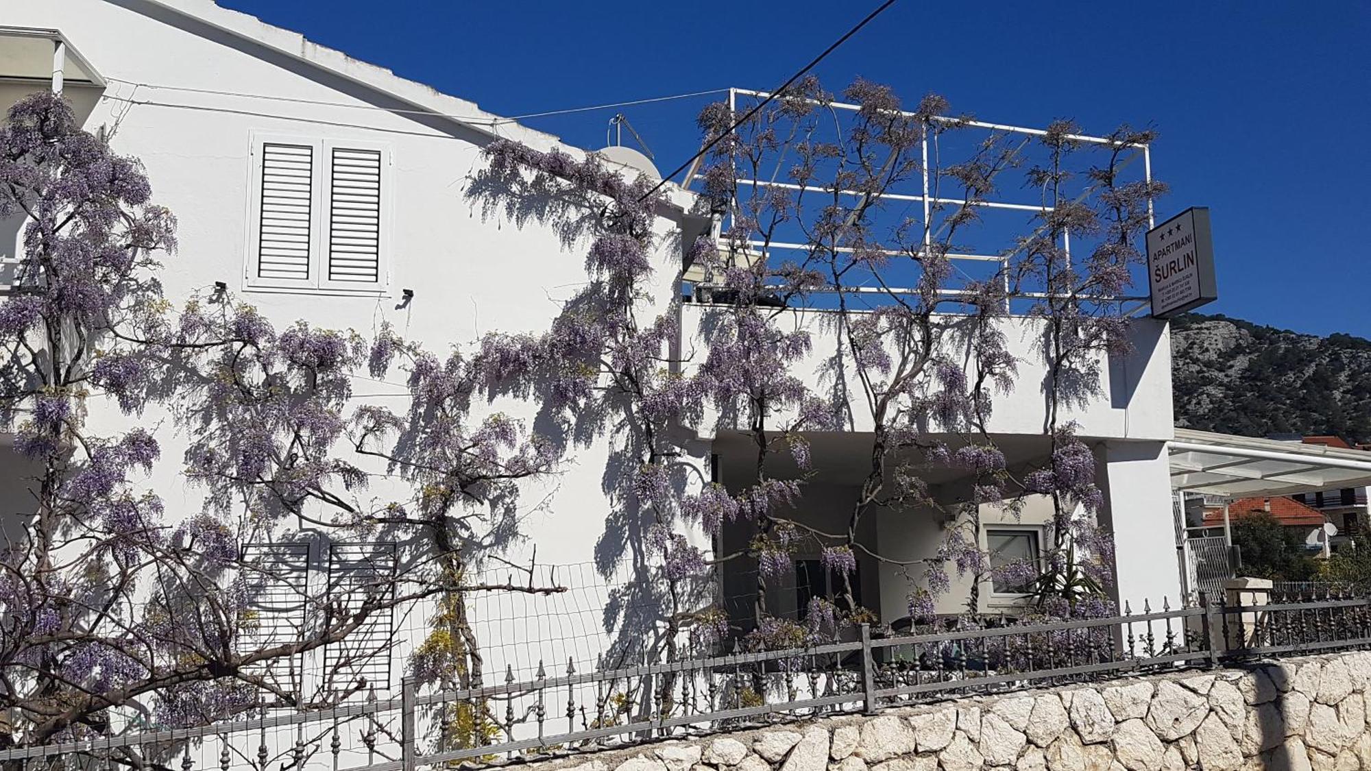 Apartmani Surlin Hvar Town Eksteriør billede